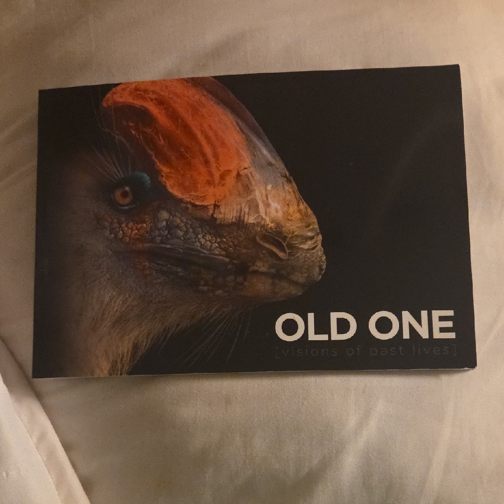 OLD ONE (Visions Of Past Lives)